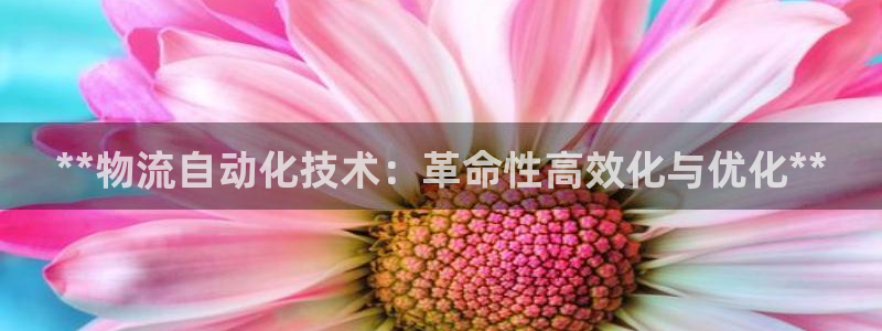 28圈现在狂杀：**物流自动化技术：