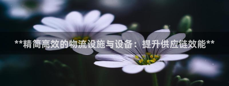 28圈加拿大最新版