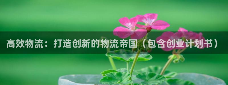 加拿大28圈注册链接：高效物流：打造