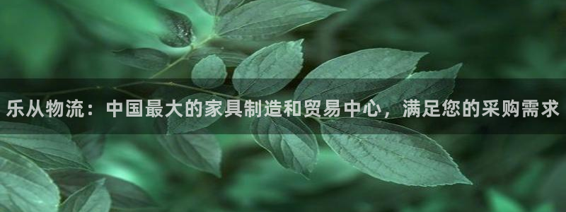 28圈黑平台吗：乐从物流：中国最大的