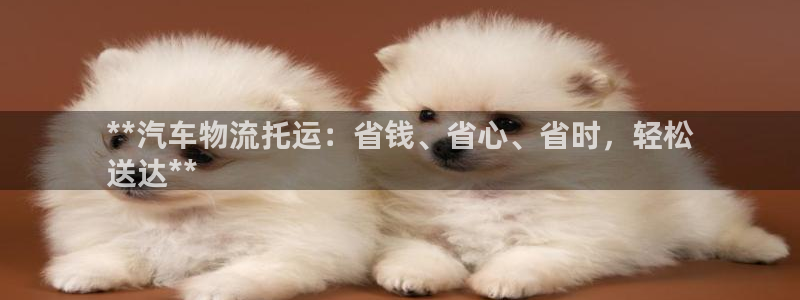 28圈注册网站多少：**汽车物流托运