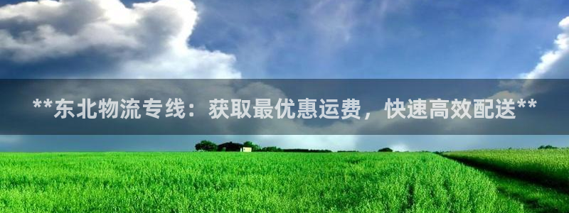 28圈里的财神：**东北物流专线：获
