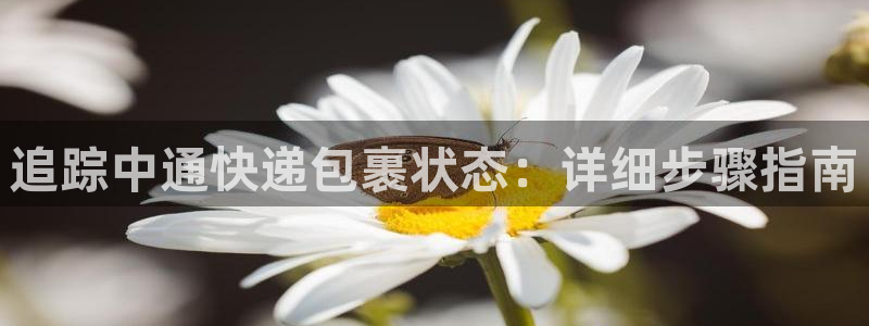 28圈注册官网：追踪中通快递包裹状态