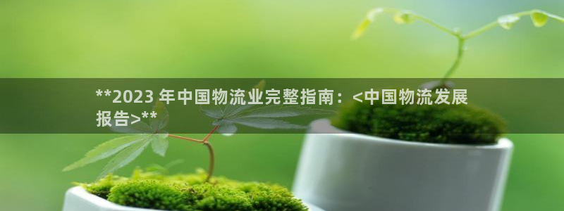 28圈稳吗：**2023 年中国物流