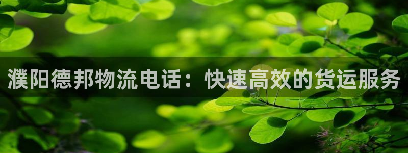 28圈加拿大是什么：濮阳德邦物流电话