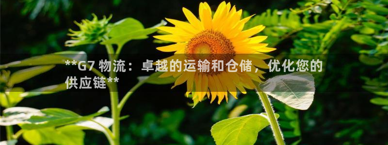 28圈和南宫28什么关系：**G7 