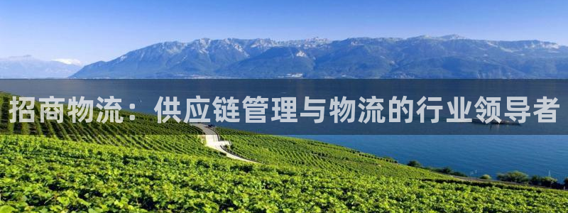28圈南宫娱乐官网：招商物流：供应链