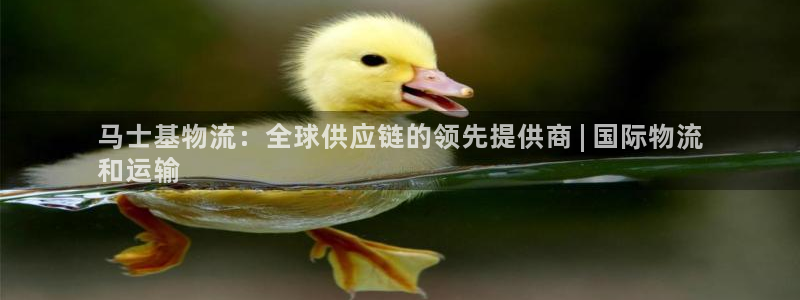 28圈口内径是多大：马士基物流：全球