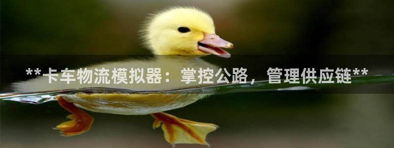 28圈取保：**卡车物流模拟器：掌控