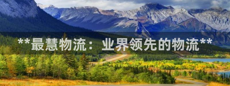 28圈玩法：**最慧物流：业界领先的
