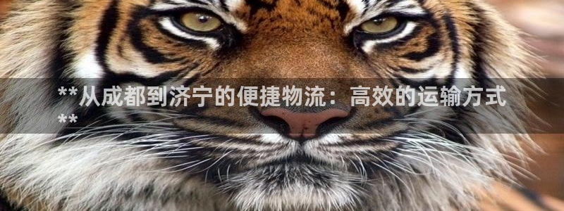 28圈注册与教程：**从成都到济宁的