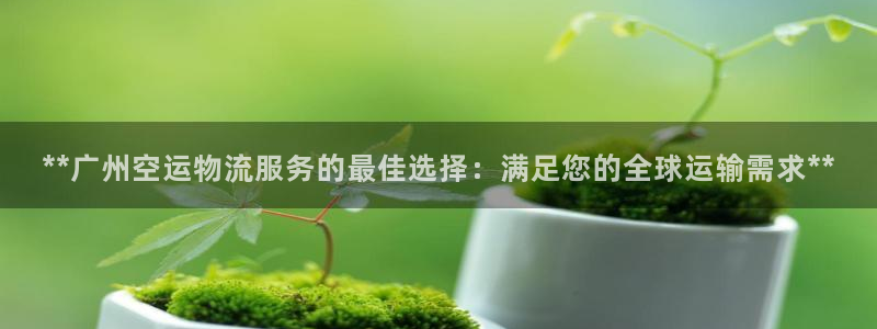 28圈客服电话：**广州空运物流服务
