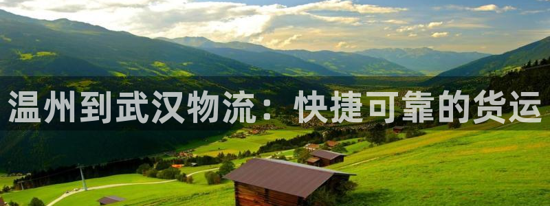 28圈充值不到账：温州到武汉物流：快