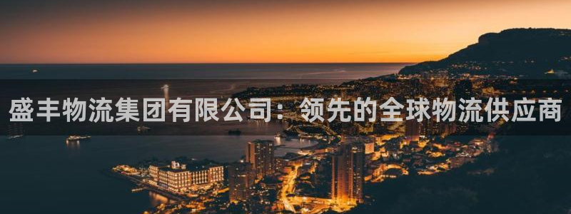 28圈充值：盛丰物流集团有限公司：领