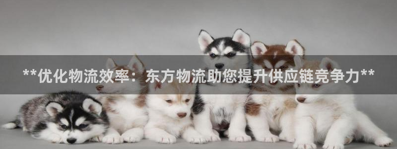 28圈加拿大在线预测