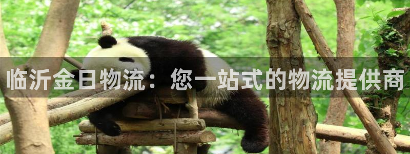 28圈链接是什么：临沂金日物流：您一