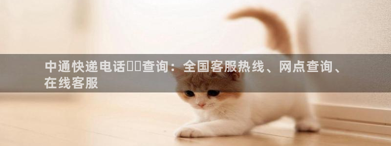 28圈网赌有什么风险：中通快递电话☎