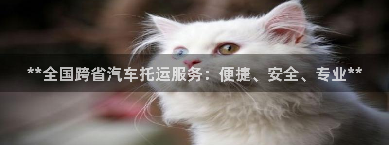 28圈不给提现