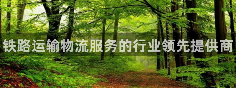 28圈技巧：铁路运输物流服务的行业领