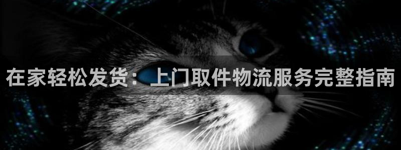 28圈注册网站多少钱：在家轻松发货：