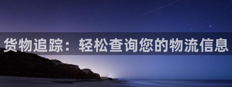 28圈官网链接：货物追踪：轻松查询您