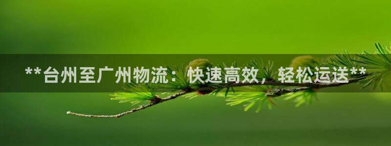 28圈注册与教程：**台州至广州物流