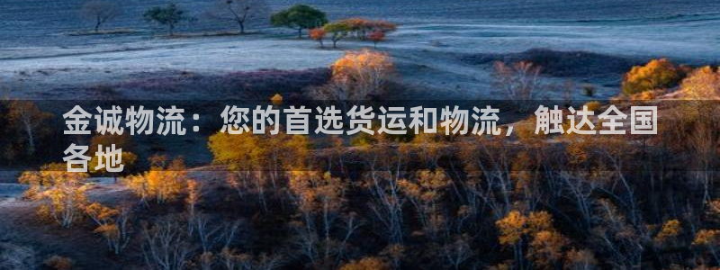 28圈游戏：金诚物流：您的首选货运和