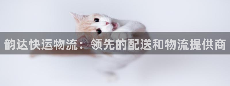 28圈忘记账号：韵达快运物流：领先的