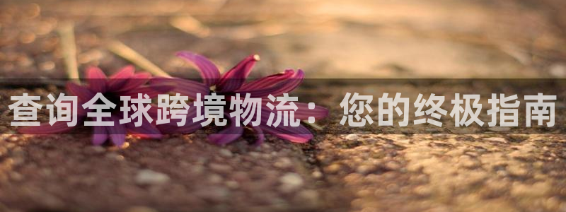 28圈充值方式：查询全球跨境物流：您