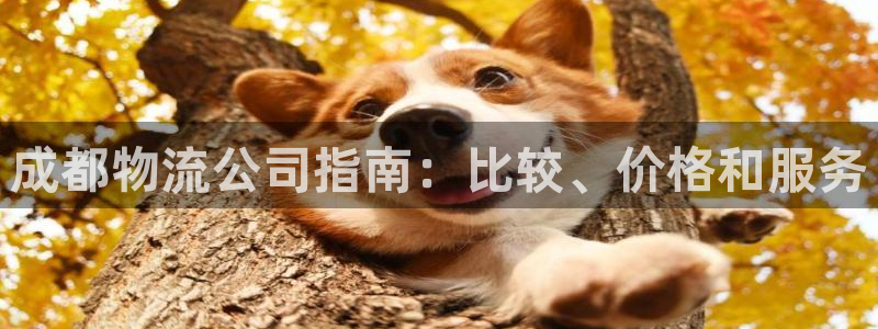 28圈推广链接是多少钱一个：成都物流