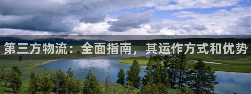28圈登录不上咋回事：第三方物流：全
