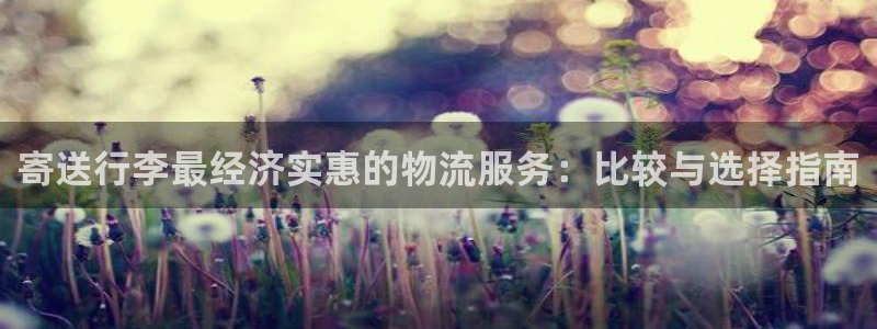 28圈游戏：寄送行李最经济实惠的物流