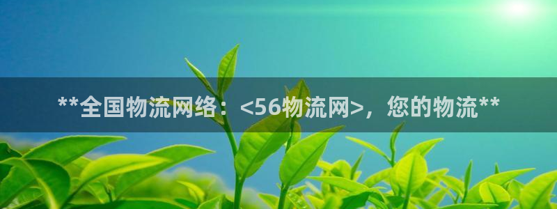 28圈链接多少