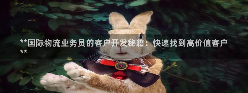 28圈注册登录链接：**国际物流业务
