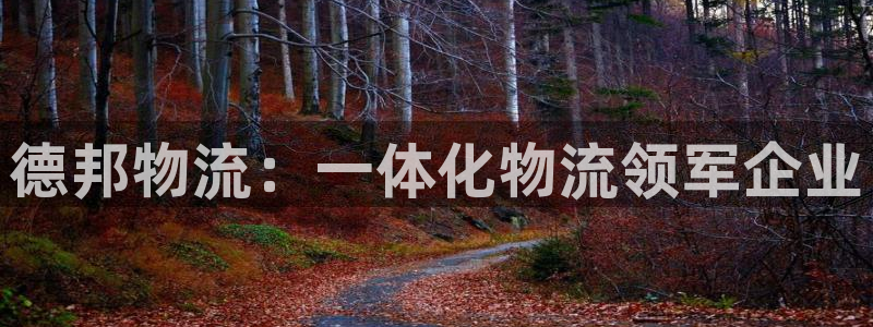 28圈官方版正版：德邦物流：一体化物