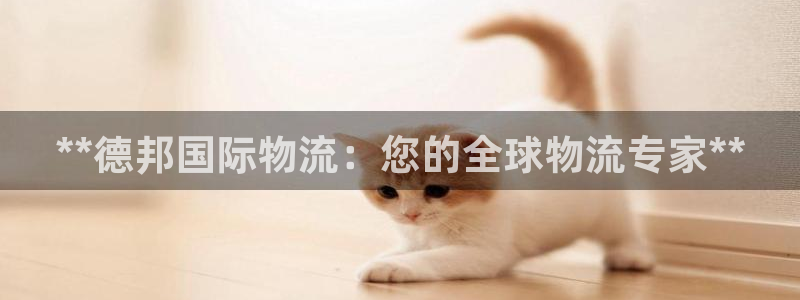28圈加拿大是什么：**德邦国际物流