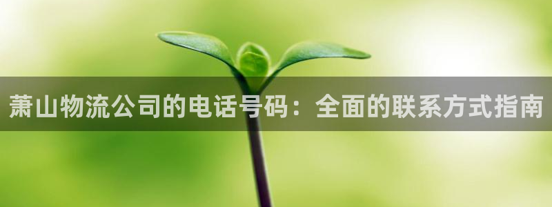 28圈正规吗?：萧山物流公司的电话号