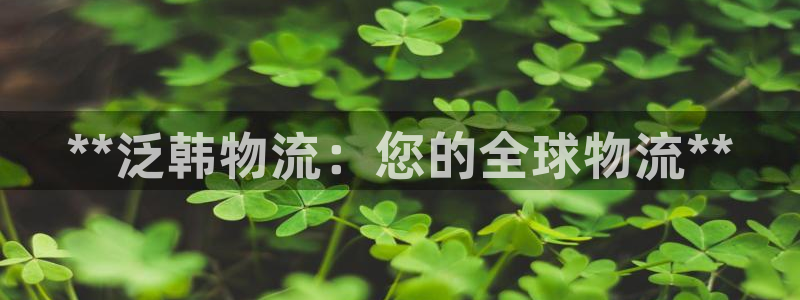 28圈选28ng官网：**泛韩物流：