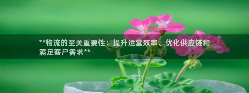 28圈的平台：**物流的至关重要性：