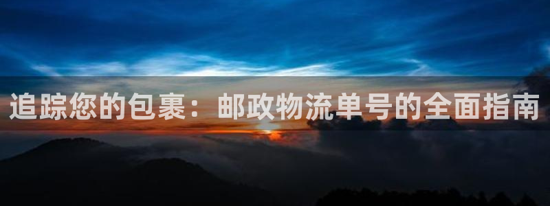 28圈ip被限制怎么解决：追踪您的包