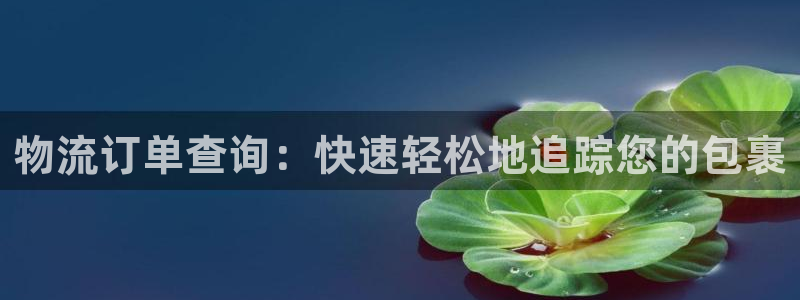 28圈注册上限是啥意思：物流订单查询