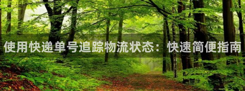 加拿大28圈数字规则：使用快递单号追
