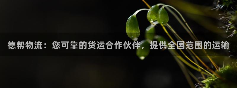 28圈注册限制怎么解除：德帮物流：您