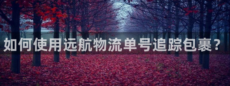 28圈模拟：如何使用远航物流单号追踪