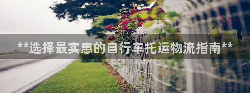 28圈.ccm南宫：**选择最实惠的