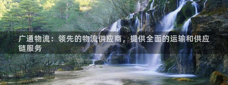 28圈登录流程：广通物流：领先的物流
