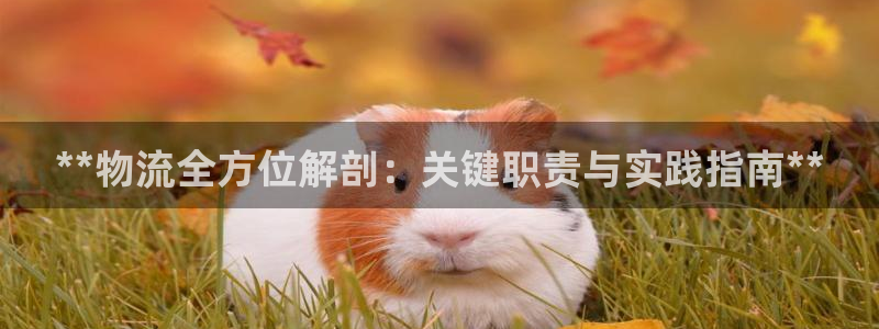 28圈能不能退：**物流全方位解剖：