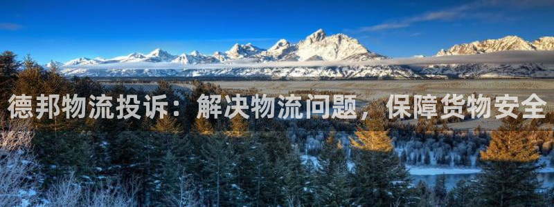 28圈大神预测：德邦物流投诉：解决物