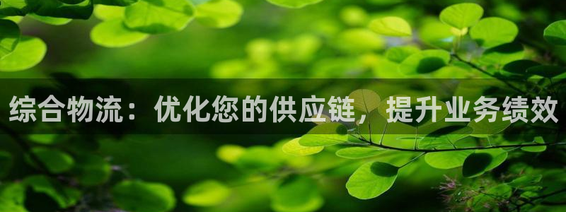 28圈分分28输了能不能退：综合物流