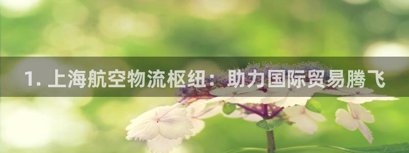 28圈的平台：1. 上海航空物流枢纽